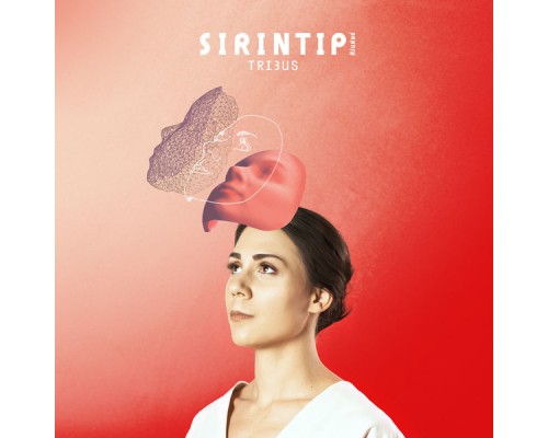 Sirintip - Tribus