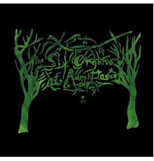 Six Organs Of Admittance - RTZ