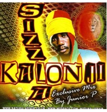 Sizzla - Sizzla: Kalonji