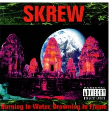 Skrew - Burning In Water, Drowning In Flame