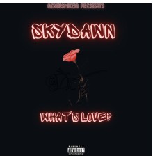 SkyDAWN - What's Love?