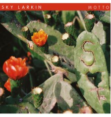 Sky Larkin - Motto