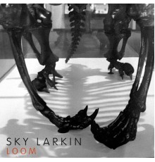 Sky Larkin - Loom