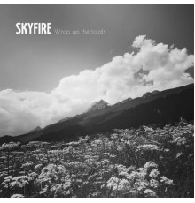 Skyfire - Wrap up the Totals