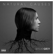 Skylar Grey - Natural Causes