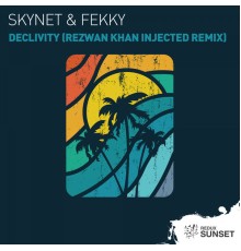 Skynet & Fekky‎‏ - Declivity