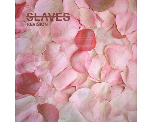 Slaves - Revision