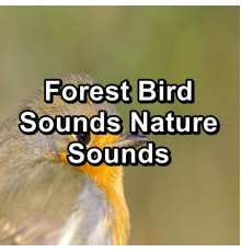 Sleep, Binaural Beats Sleep, Sleep Music, Paudio - Forest Bird Sounds Nature Sounds