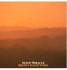 Sleep Miracle - Brown Sleep Noise