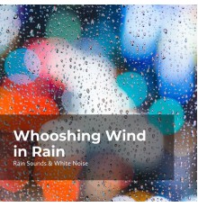 Sleep Rain, Rain Sounds & White Noise, Raindrops Sleep - Whooshing Wind in Rain