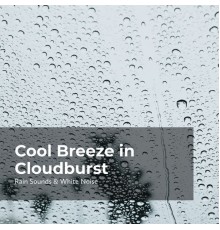 Sleep Rain, Raindrops Sleep, Rain Sounds & White Noise - Cool Breeze in Cloudburst