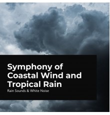Sleep Rain, Raindrops Sleep, Rain Sounds & White Noise - Symphony of Coastal Wind and Tropical Rain