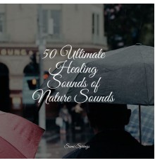 Sleep Recording Sounds, Masters of Binaurality, Nature Sounds for Concentration - 50 Ultimate Healing Sounds of Nature Sounds