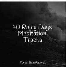 Sleep Recording Sounds, Rain Hard, Nature Sounds Radio - 40 Rainy Days Meditation Tracks