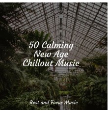 Sleep Songs 101, Soothing Chill Out for Insomnia, reiki tribe - 50 Calming New Age Chillout Music