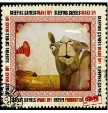 Sleeping Camels - Wake up!