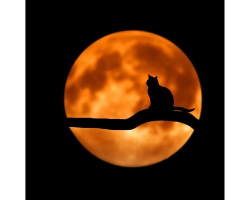 Sleepy Times, Sound Sleeping and Calming Sounds - Nature Melodies | Relaxation and Serenity Sleepy Times, Sound Sleeping and Calming Sounds - Nature Melodies | Relaxation and Serenity