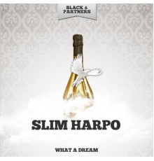 Slim Harpo - What A Dream