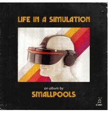 Smallpools - LIFE IN A SIMULATION