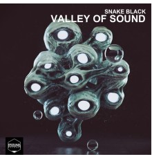 Snake Black - Valley Of Sound