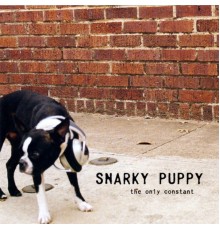 Snarky Puppy - The Only Constant