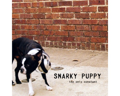 Snarky Puppy - The Only Constant