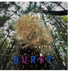 Snarls - Burst