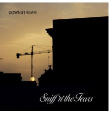 Sniff 'N' The Tears - Downstream