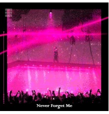 Snipe - Never Forget Me