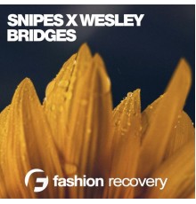 Snipes X Wesley - Bridges