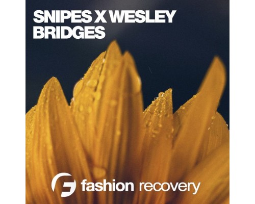 Snipes X Wesley - Bridges