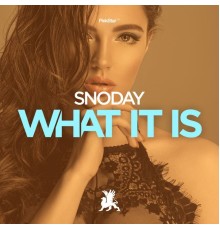 SnoDay - What It Is