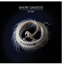 Snow Ghosts - Husk