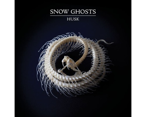 Snow Ghosts - Husk