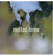 Snowman - Melted Snow