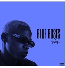 SoKoGa - Blue Roses