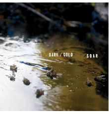 Soar - dark / gold