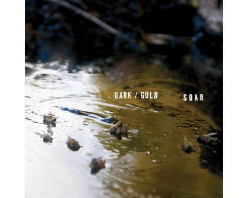 Soar - dark / gold