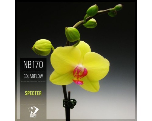 SolarFlow - Specter