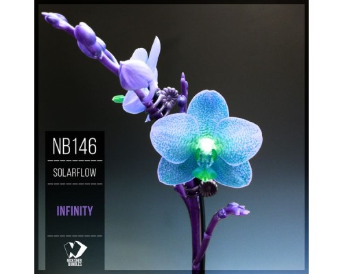 SolarFlow - Infinity