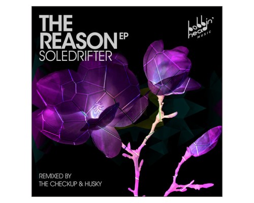 Soledrifter - The Reason EP