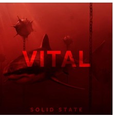 Solid State - Vital