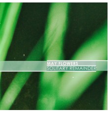 Solitary Remainder - May Flowers