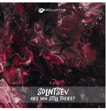 Solntsev - Are You Still There?