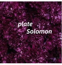 Solomon - plate