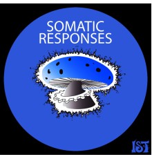 Somatic Responses - Axon