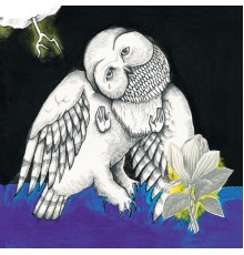 Songs:Ohia - The Magnolia Electric Co.