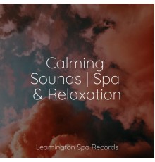 Soothing Music Academy, Massagem Coleção de Músicas, Study Music - Calming Sounds | Spa & Relaxation