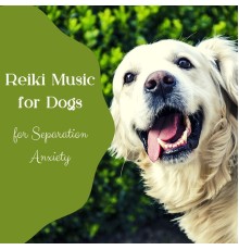 Soothing Music for Dogs - Reiki Music for Dogs for Separation Anxiety