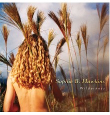 Sophie B. Hawkins - Wilderness